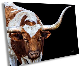 Texas Longhorn Cattle Art Print: Rustic Western Decor
