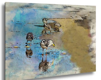 Oregon Coast Seagull Wall art: Coastal Beach photography print