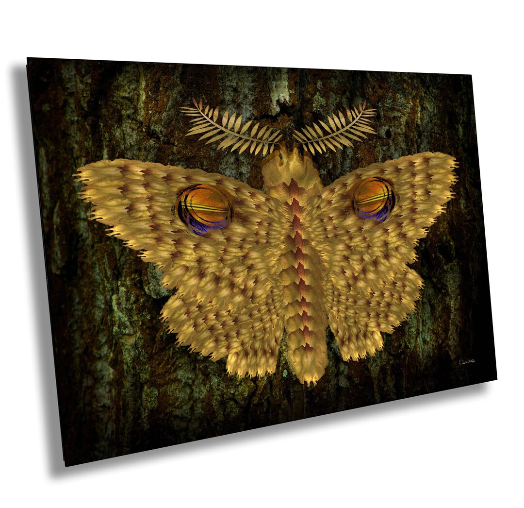 Moth Art Print: Handcrafted Wall Art - Etsy
