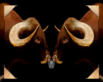 Texas Longhorn wall art: Cattle Wall Hanging