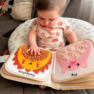 May include: A baby is playing with a sensory book featuring animal illustrations. The book has tactile elements for sensory exploration. The baby wears a light-coloured top with a pattern of donuts.