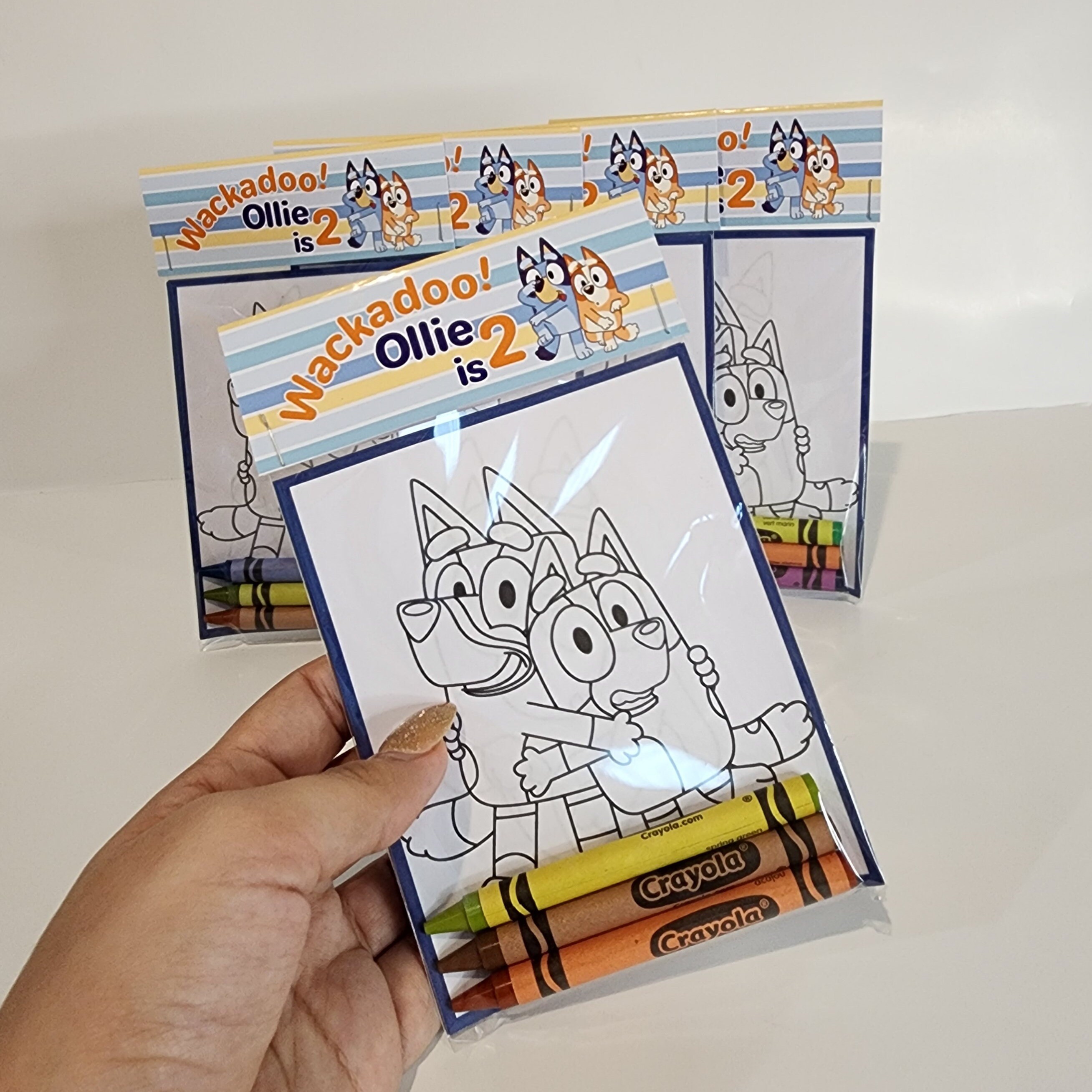 Bluey and Bingo Party Favor Bluey Theme Party Coloring Books Bluey Gift ...