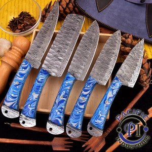 Handmade Damascus Chef Knife set of 5 Pieces with beautiful leather roll , Japanese knife set , Kitchen knife set , Gift for Him, USA knives