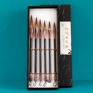 Set di pennelli da 6 confezioni, set di pennelli per calligrafia e pittura, forniture per calligrafia cinese, pennelli speciali per la pratica della calligrafia