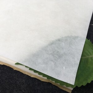 May include: A stack of white, textured paper sheets with a green leaf partially visible at the bottom.