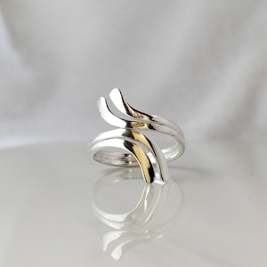 Peut inclure: Une bague argentée au design unique et fluide. La bague présente une forme incurvée et polie avec un accent doré. Le design de la bague s'enroule autour du doigt, créant un look élégant et moderne. La bague est présentée sur une surface réfléchissante.