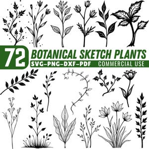 May include: Black and white botanical sketches of various plants, including leaves, flowers, and branches. The image includes the text "72 BOTANICAL SKETCH PLANTS SVG-PNG-DXF-PDF COMMERCIAL USE" in green and white.