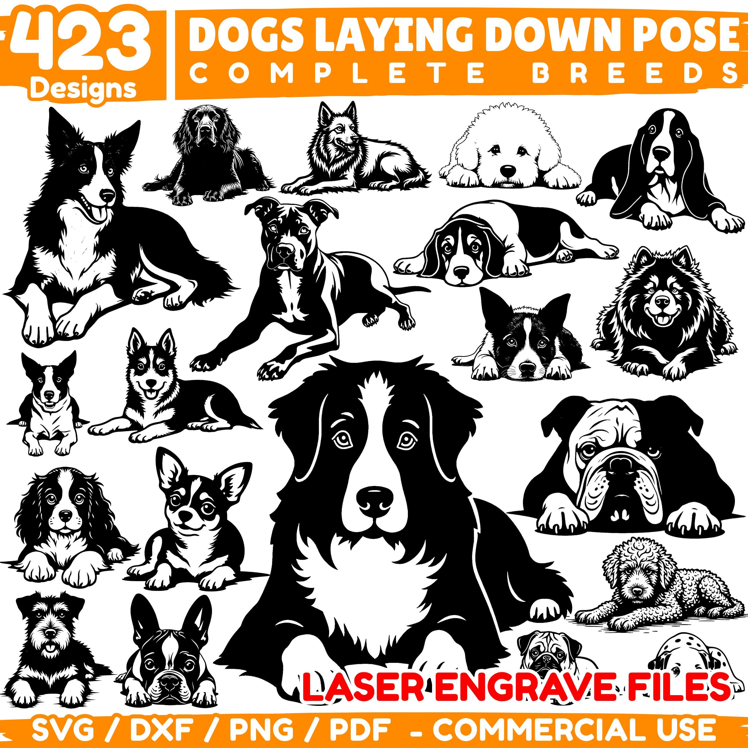 Dog Breeds SVG PNG: Laser Engrave Files, Etched Pet Art - Etsy Canada
