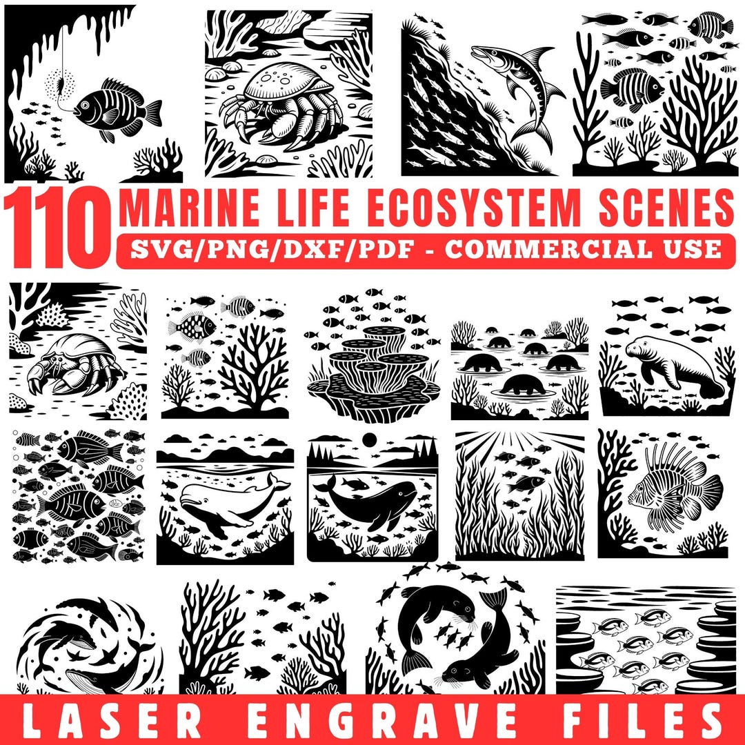 Marine Life Ocean Ecosystem Scene SVG Bundle, Coral Reef Underwater ...