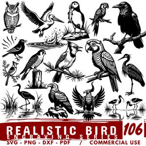 Op de afbeelding: Een verzameling zwart-wit gegraveerde illustraties van verschillende vogels, waaronder een uil, een pelikaan, een papegaai en een adelaar. De afbeelding bevat de tekst "REALISTIC BIRD SERIES 106" en bestandsinfo.