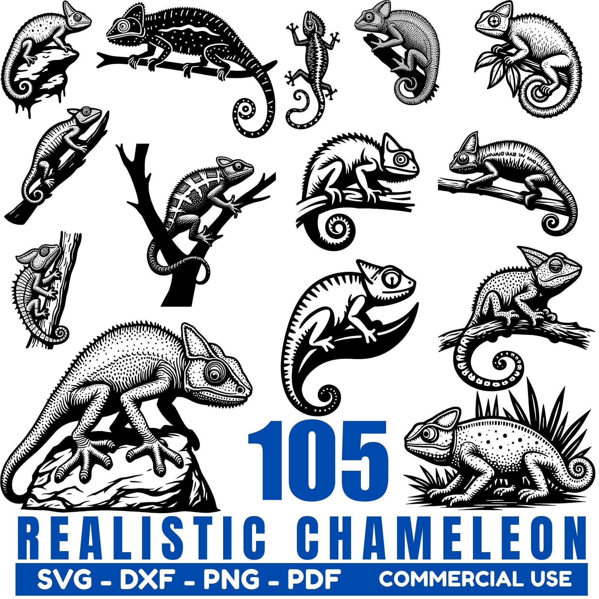 Realistic Chameleon Svg Png Pdf & Dxf Bundle for Cricut Silhouette and ...