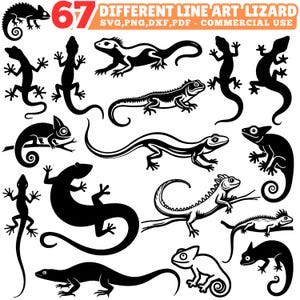 Puede incluir: Una colección de 67 diseños de lagartos en arte lineal negro. La imagen incluye varias ilustraciones de lagartos en diferentes poses y estilos, con el texto "67 DIFFERENT LINE ART LIZARD SVG, PNG, DXF, PDF - COMMERCIAL USE".