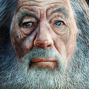 Handmade oil painting on cotton canvas on demand, rolled stretched or framed, Fantasy - Witch portrait 4 fan art wall artwork grey beard