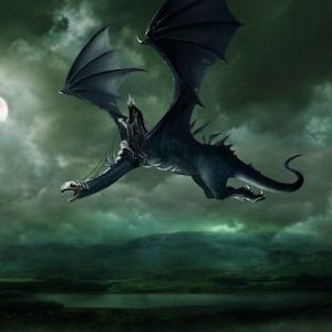 Handmade oil painting on cotton canvas on demand, rolled stretched or framed, Fantasy-King black rider on dragon beautiful landscape fan art