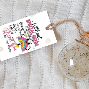 May include: A clear glass bauble filled with dried plant matter, attached to a tag with the text "Without Special Needs Assistants like you we'd be in a real mess. Thank you for all that you do!" The tag has a rainbow graphic.