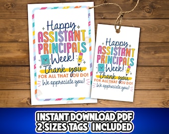 100% 100% Baumwolle, 100% Polyester, Baumwollkordel, 100% Baumwolle