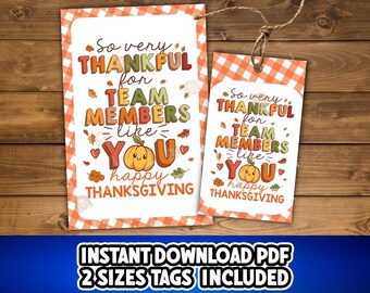 May include: Two Thanksgiving-themed gift tags with a gingham border. The tags read "So very thankful for team members like you" with a smiling pumpkin illustration. The bottom of the tags say "happy Thanksgiving".