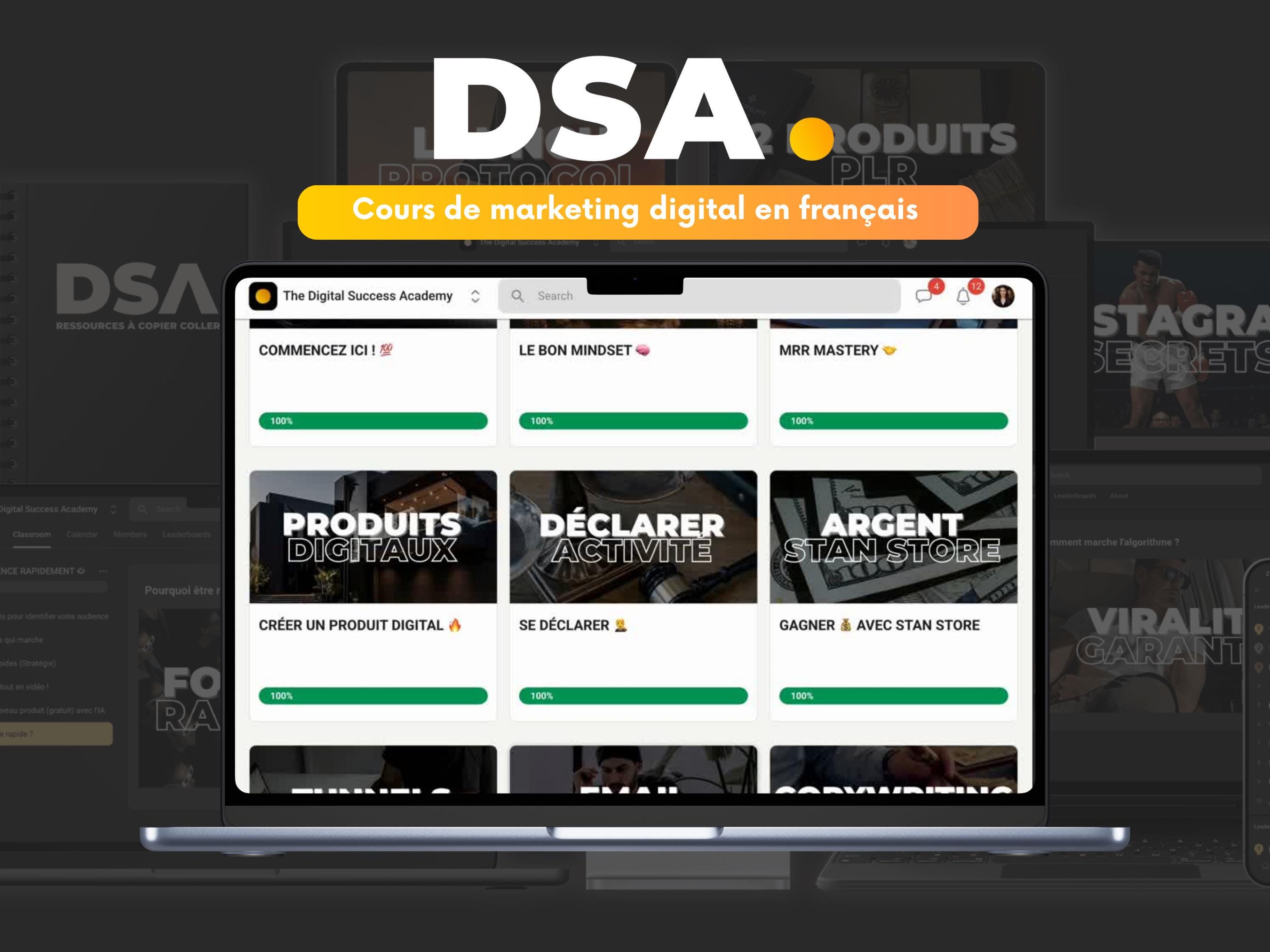 The Digital Success Academy Course DSA 12 PLR Inclus, Cours De ...