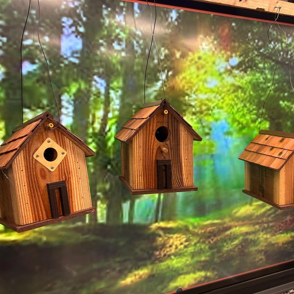 Rustic Cedar Hanging Wren/Birdhouse
