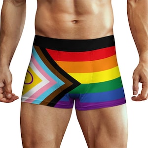 May include: Boxer briefs with a rainbow flag design and a black waistband. The briefs feature a progressive pride flag on the left side. The rainbow flag design includes red, orange, yellow, green, blue, and purple stripes.