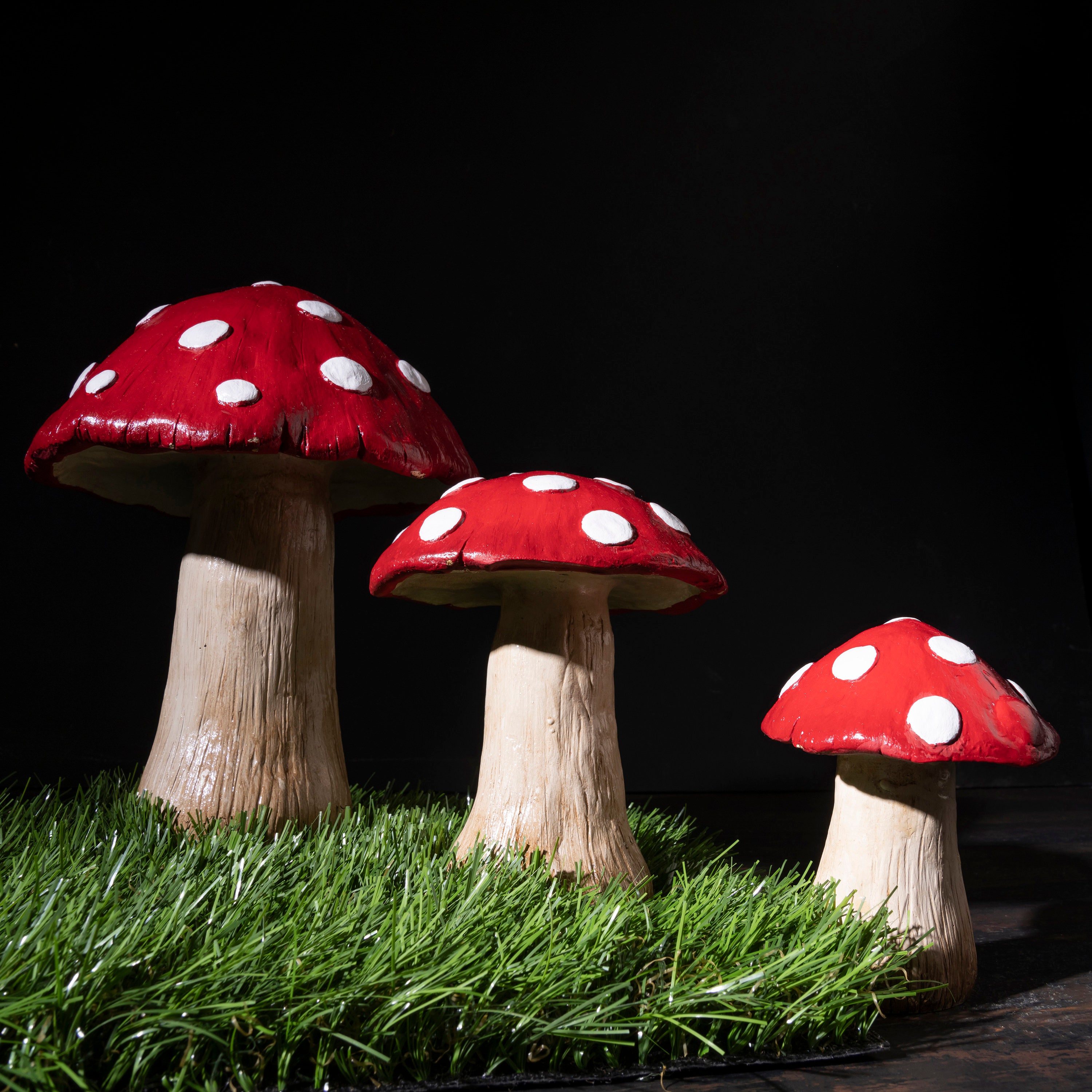 It is Perfect Gift for Mushroom Lovers to Decorate Their Home and ...
