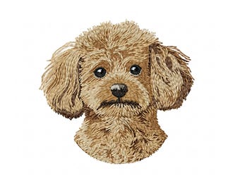 Realistic Toy Poodle Dog Breed machine embroidery design - 5 sizes, poodle embroidery design, realistic dog breed embroidery design