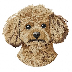 Realistic Toy Poodle Dog Breed machine embroidery design - 5 sizes, poodle embroidery design, realistic dog breed embroidery design