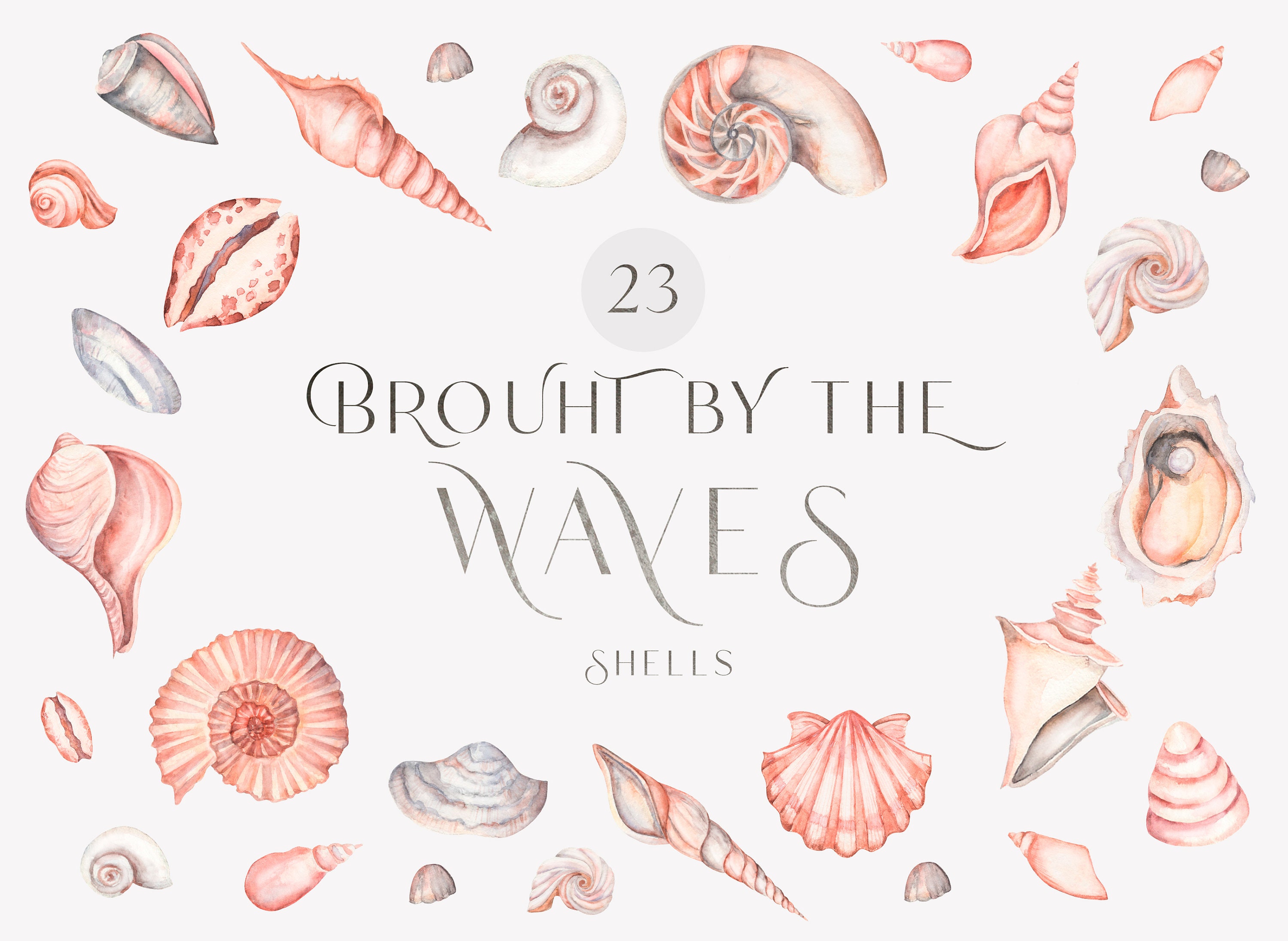 Watercolor Seashells, Sea Clipart Graphic by NoviArt · Creative