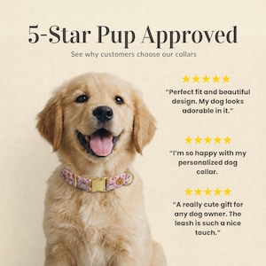 Op de afbeelding: Een golden retriever puppy draagt een roze hondenhalsband met een patroon van spookjes en pompoenen. De halsband heeft een goudkleurige metalen gesp en D-ring. De tekst op de afbeelding luidt: 5-Star Pup Approved, See why customers choose our collars.