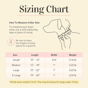 Op de afbeelding: Een maattabel voor hondenhalsbanden met de titel Sizing Chart. Het bevat instructies voor het meten van de nek van een hond met een meetlint, een diagram van een hond en een tabel met maten en lengtes in inches.