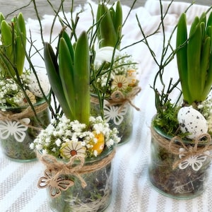 Könnte beinhalten: Vier Glasgefäße mit Hyazinthenzwiebeln, Moos, kleinen weißen Blüten und dekorativen Eiern. Jedes Gefäß ist mit Schnur gebunden und hat einen Holzschmetterling befestigt.