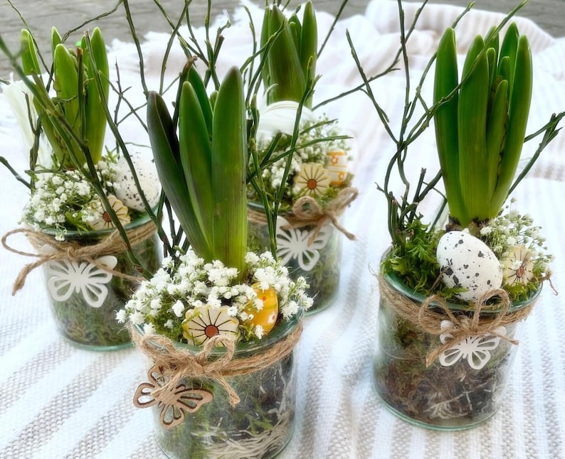 May include: Four glass jars with hyacinth bulbs, moss, small white flowers, and decorative eggs. Each jar is tied with twine and has a wooden butterfly attached.