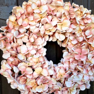Könnte beinhalten: Ein kreisförmiger Kranz aus künstlichen Hortensienblüten. Die Blüten zeigen einen Farbverlauf von zartrosa, pfirsichfarben und creme, mit grünen Zentren. Der Kranz ist ein dekorativer Artikel, geeignet für die saisonale oder ganzjährige Präsentation.