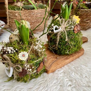 Hyazinthe im Moosmantel / Frühlingsgesteck / Ostergesteck / Tischdekoration