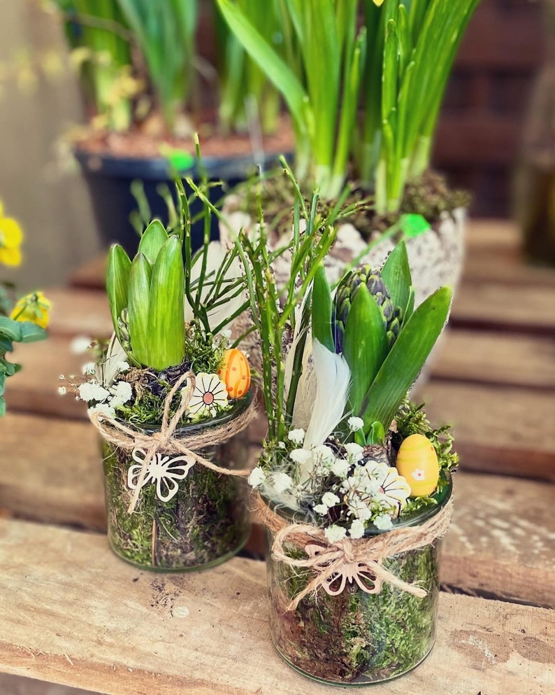 May include: Two glass jars filled with moss, small white flowers, and green hyacinth plants. Each jar is decorated with a brown twine bow and a wooden butterfly. There are also small yellow and orange Easter eggs in each jar.