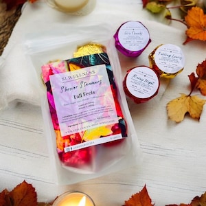 6 Fall Feels Shower Steamers, Strongly Scented, Lovely For Gift, Wellness, Aromatherapy