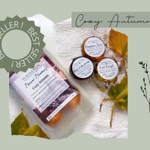 Cozy Autumn Shower Steamers, Strongly Scented, Lovely For Gift, Wellness, Aromatherapy