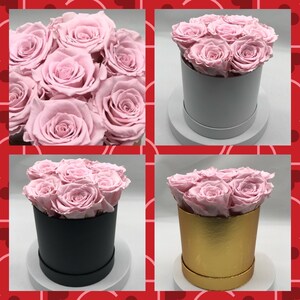 Preserved Roses | Pink Roses | Valentines Roses