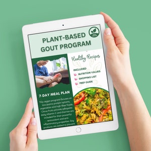Gout Diet Plan - Etsy Australia