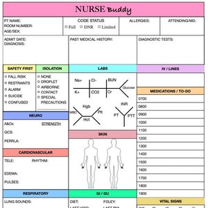 以下が含まれることがあります： ピンク、ブルー、グリーンの医療チャートで、安全第一、隔離、検査、IV/ライン、投薬/やるべきこと、神経、循環器、呼吸器、GI/GU、バイタルサイン、ケアプランの項目があります。このチャートは、看護師が患者の情報を記録するために設計されています。