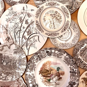 May include: A collection of vintage decorative plates with various brown and white designs. Some plates feature floral patterns, while others depict landscape scenes with carriages and ducks. The plates vary in size and shape, creating a diverse display.