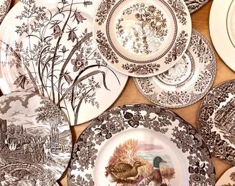 May include: A collection of vintage decorative plates with various brown and white designs. Some plates feature floral patterns, while others depict landscape scenes with carriages and ducks. The plates vary in size and shape, creating a diverse display.