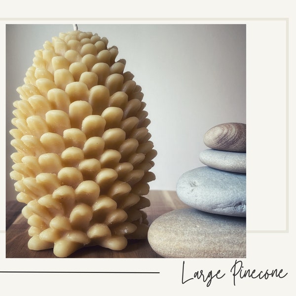 Pinecone, large