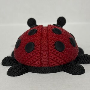 May include: A red ladybug toy with black spots and legs. The ladybug is made of a textured material and has a 3D appearance.