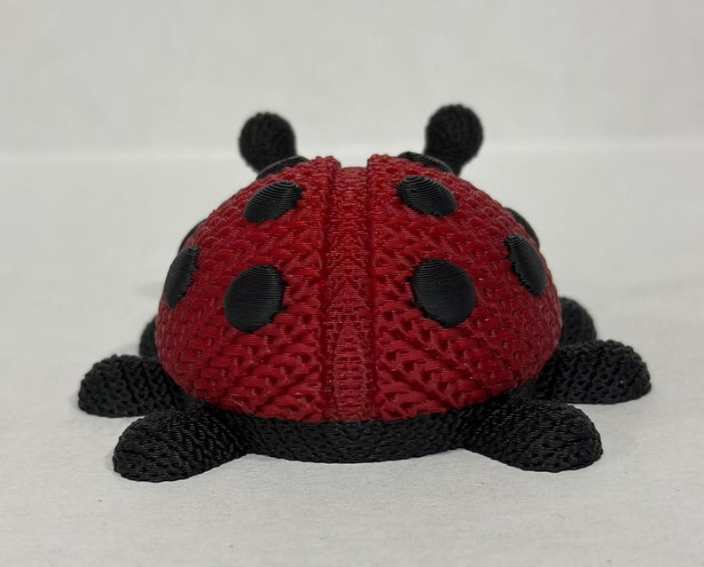 May include: A red ladybug toy with black spots and legs. The ladybug is made of a textured material and has a 3D appearance.