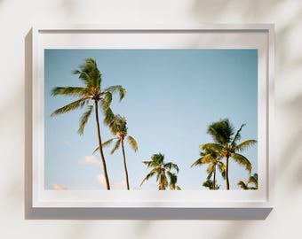 Palm Trees | Film Photography | Hawaii | Wall Art | Home Decor
