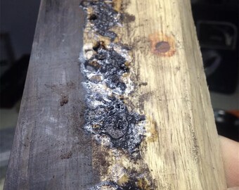 Adorno de mesa de camello de madera maciza tallada a mano