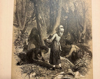 Nutting by John S. Davis