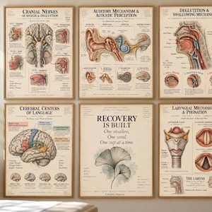 Puede incluir: Un conjunto de seis pósteres educativos de pared con diagramas anatómicos de la cabeza y el cuello humanos, incluyendo nervios craneales, mecanismos auditivos, deglución, centros del lenguaje, laringe y una cita de recuperación.