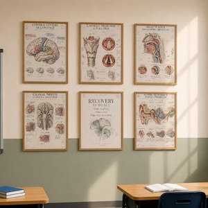 Pode incluir: Seis cartazes anatómicos emoldurados numa parede. As impressões apresentam ilustrações médicas detalhadas do cérebro, laringe, garganta, nervos cranianos, ouvido e um cartaz central com o texto Recovery is built, one small, one yard, one step at a time.